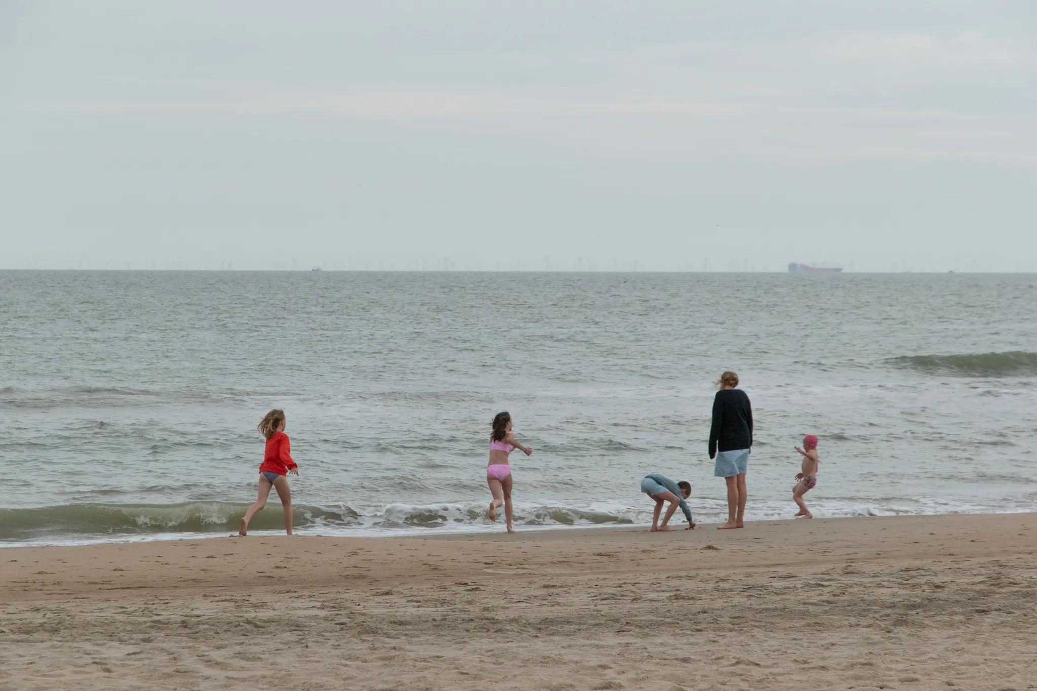 Image 1 de la rangée 14