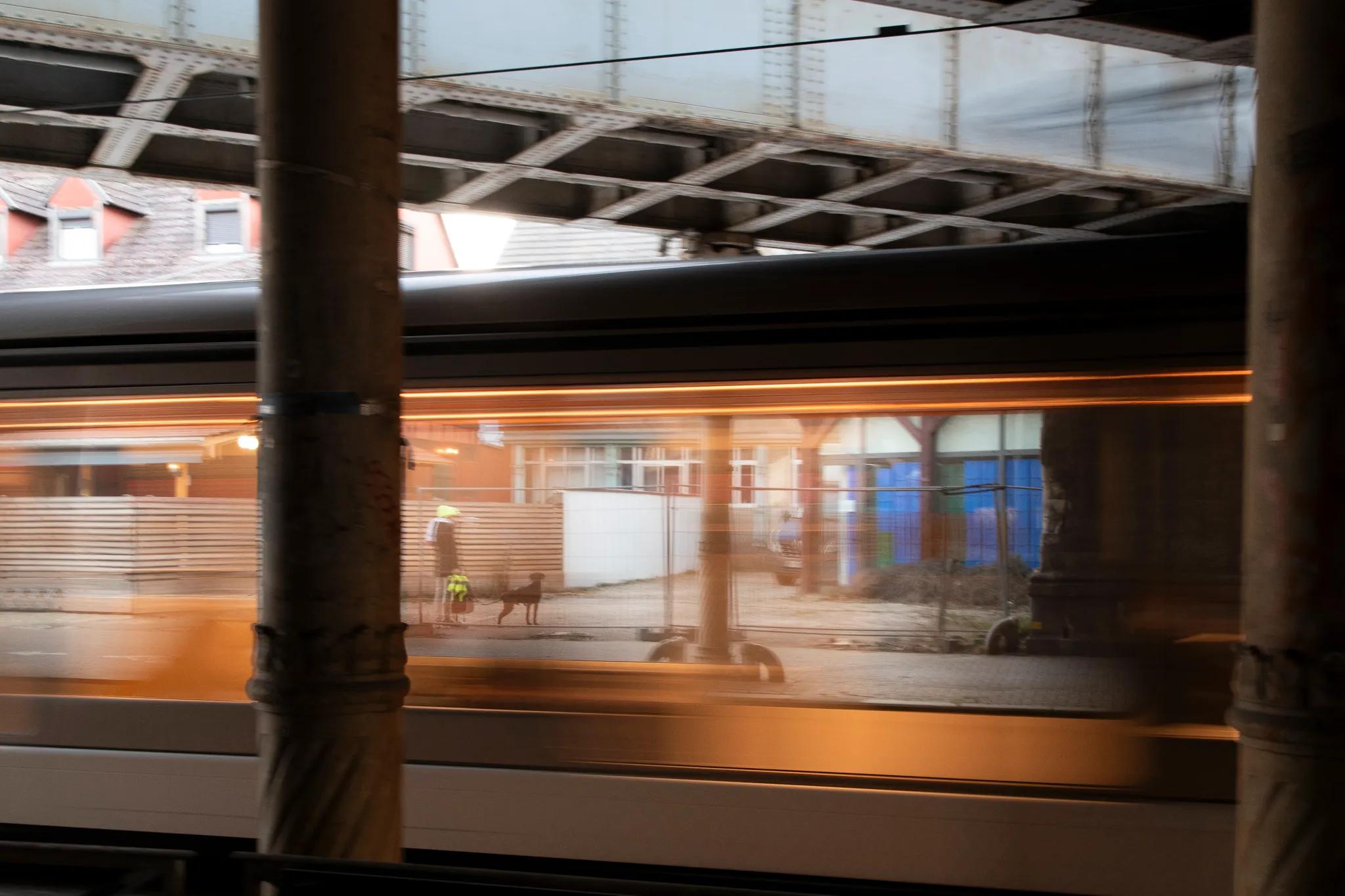 Image 1 de la rangée 7