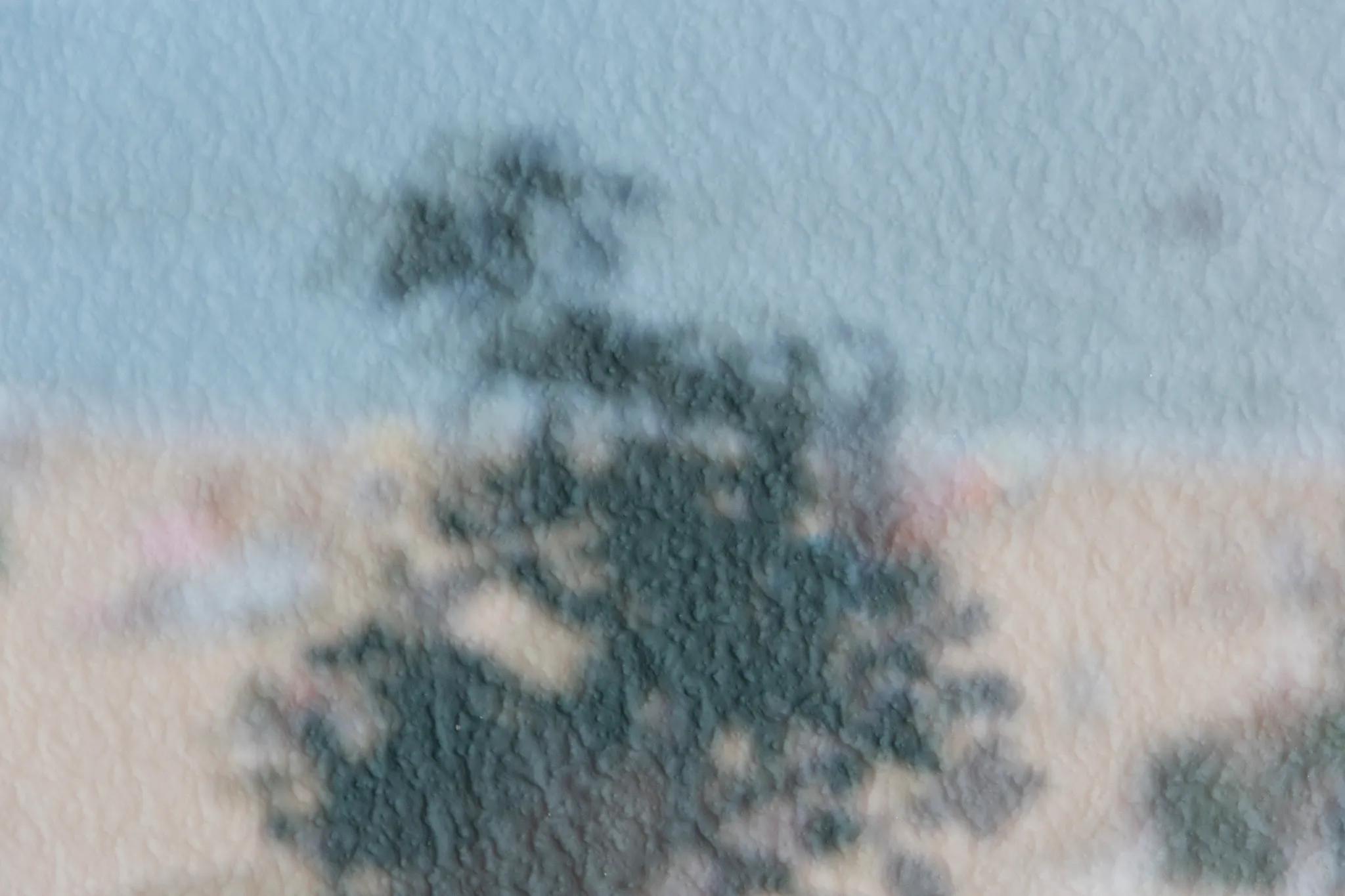Image 1 de la rangée 17