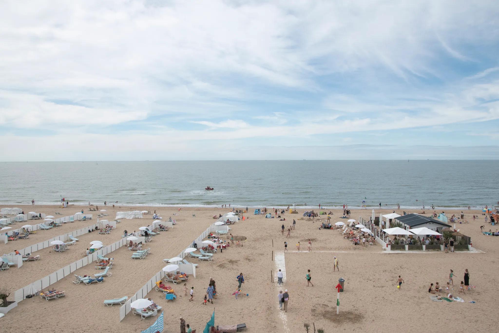 Image 1 de la rangée 16