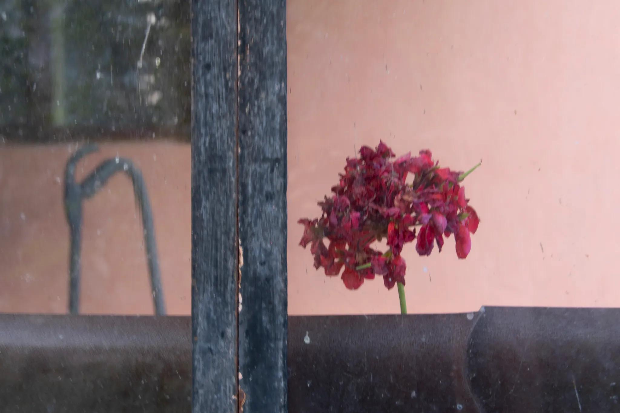 Image 1 de la rangée 4