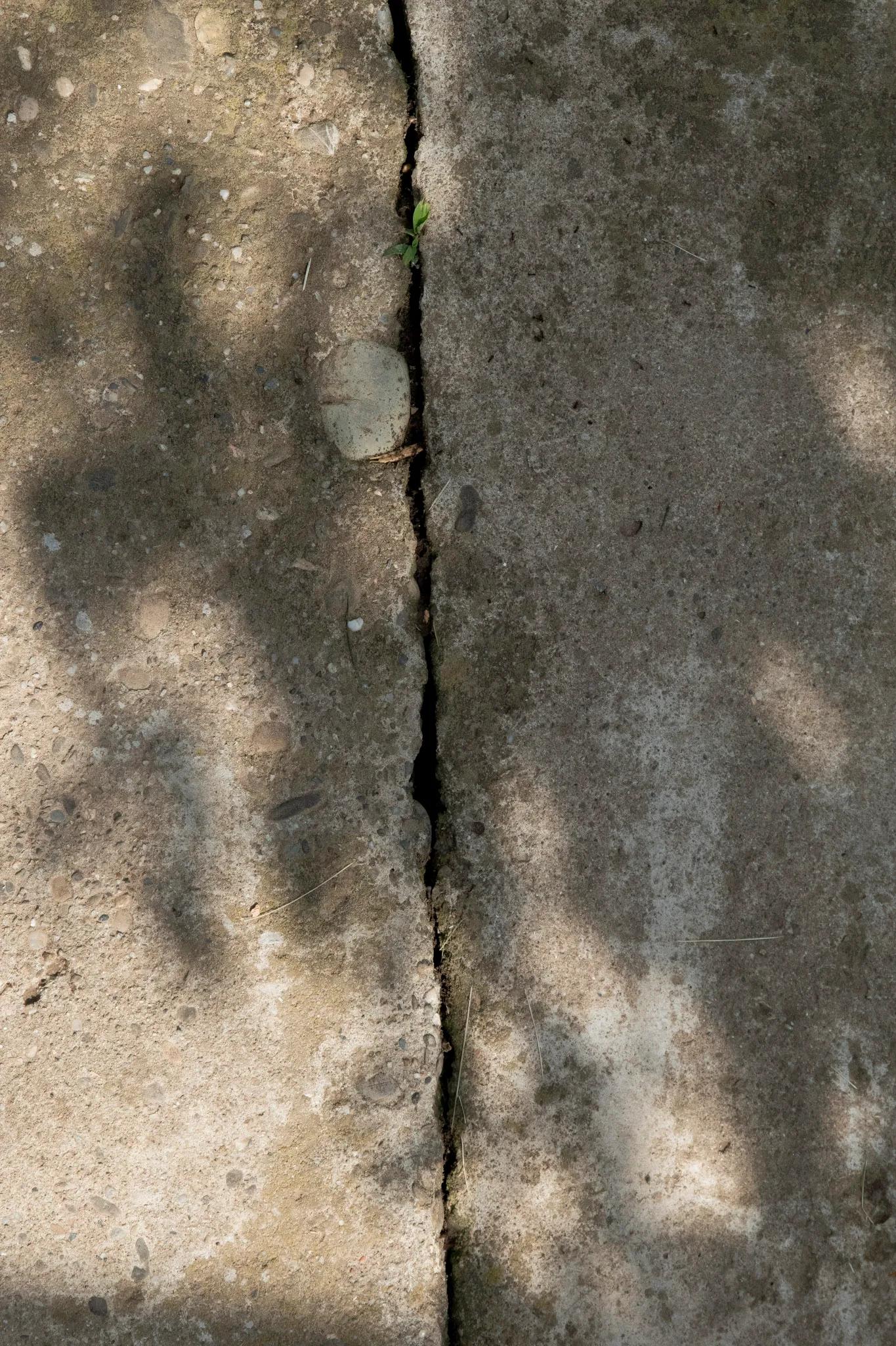 Image 1 de la rangée 6