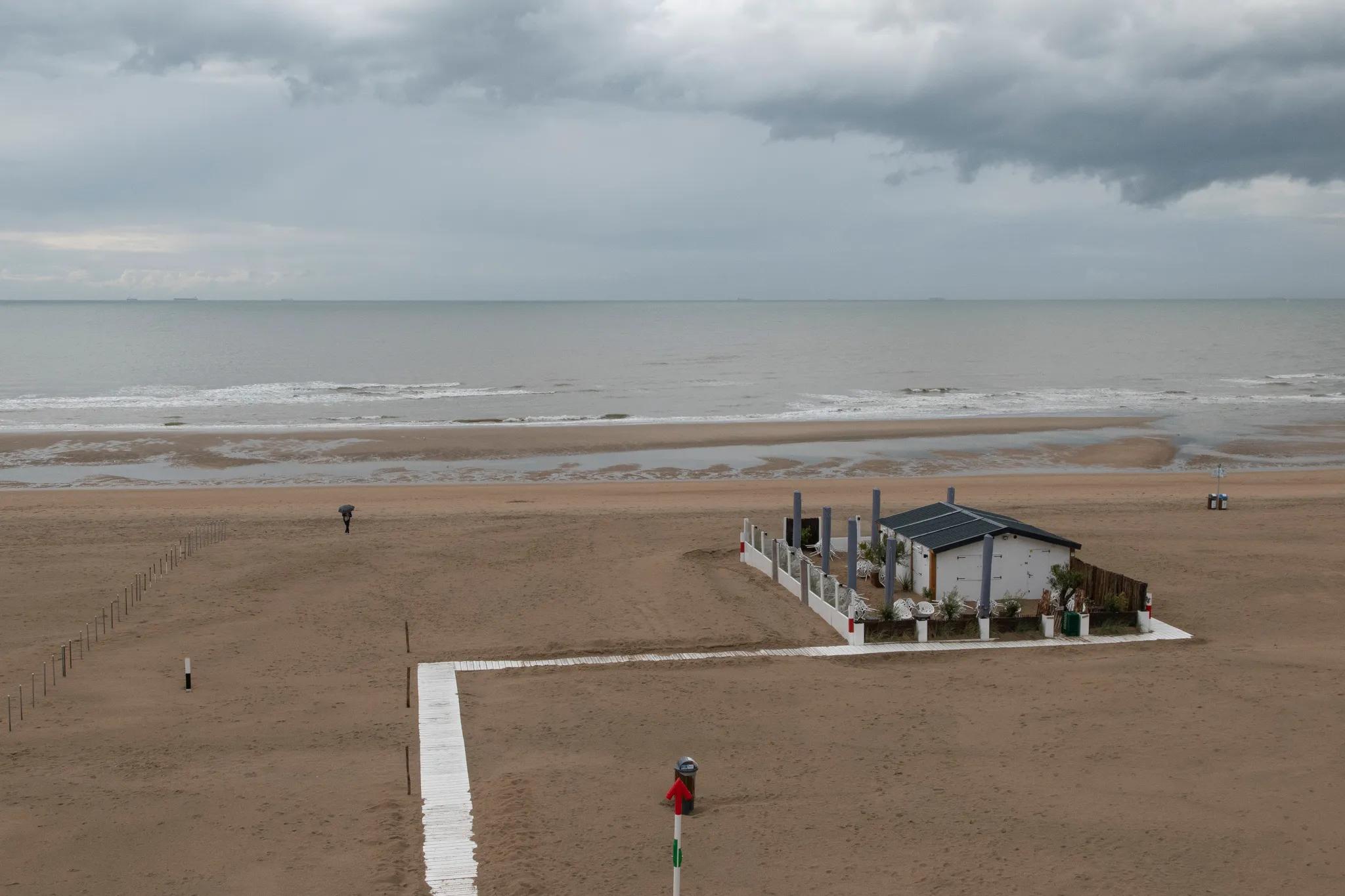 Image 1 de la rangée 12