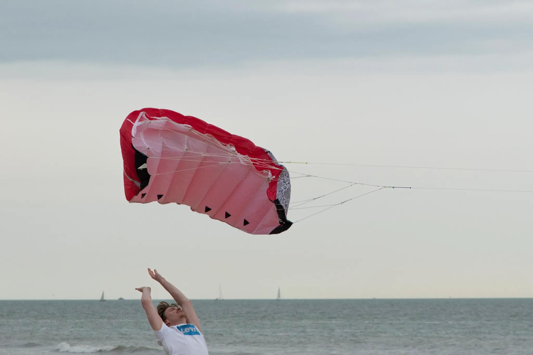 Image 1 de la rangée 15