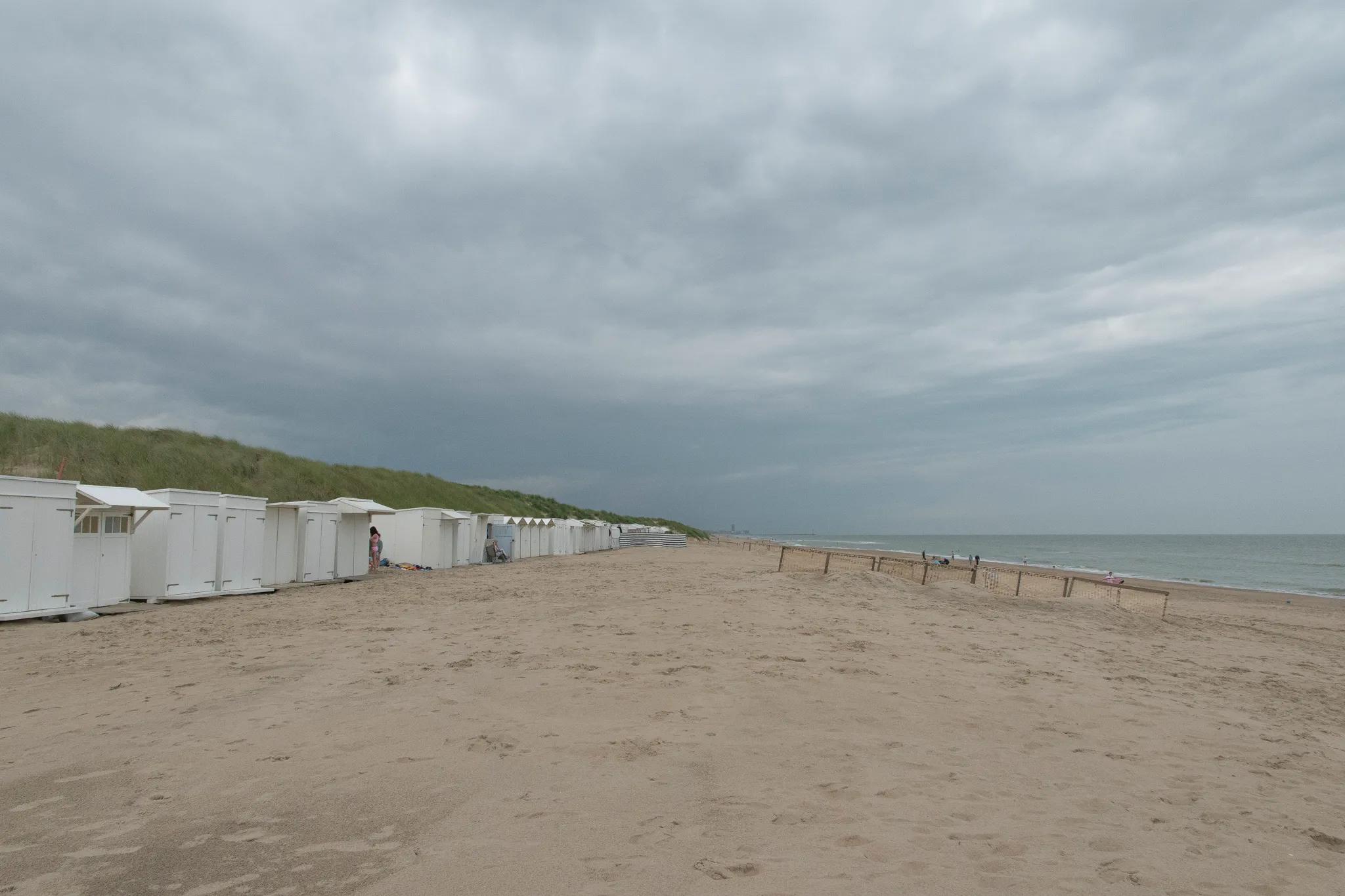 Image 1 de la rangée 1